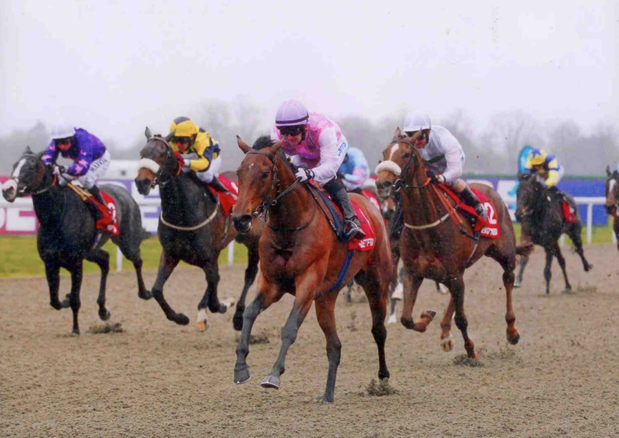 Lily's Angel - Snowdrop Fillies stakes Listed Kempton 13th April 2013